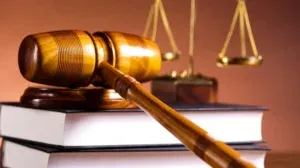 Administrador de sociedad en concurso de acreedores revisando documentación contable ante una imputación por delito del artículo 259 del Código Penal | Sanahuja Abogados Penalistas